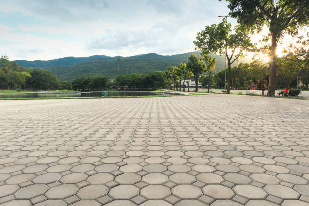 Best Residential Driveway Paver Services  in Elm City, NC