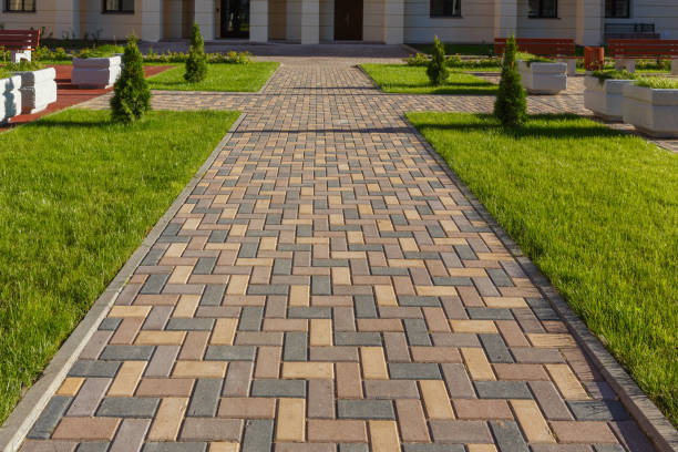 Best Driveway Paving Contractor  in Elm City, NC